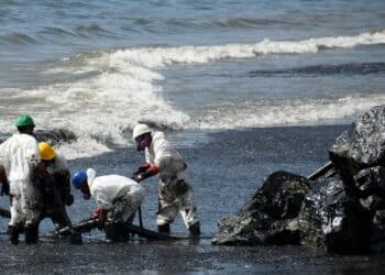 Dutch Forces Deployed To Caribbean Island Hit By Major Oil Spill