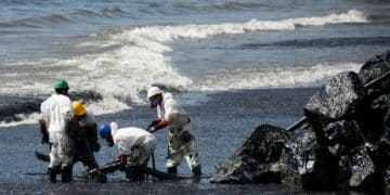 Dutch Forces Deployed To Caribbean Island Hit By Major Oil Spill