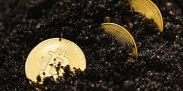 Unleash Your Wealth: The Potential of Bitcoin Investment
