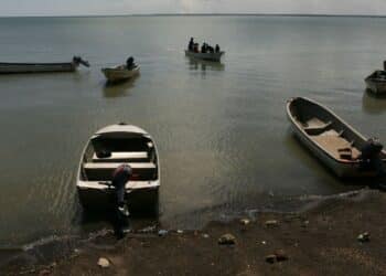16-year-old boy killed by crocodile after boat breaks down: police
