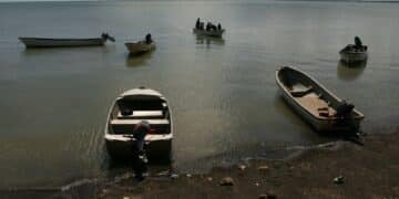 16-year-old boy killed by crocodile after boat breaks down: police
