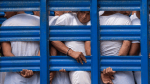 At least 241 people have died in El Salvador’s prisons during the ‘war on gangs,’ rights group says