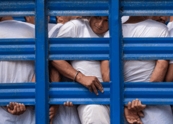 At least 241 people have died in El Salvador’s prisons during the ‘war on gangs,’ rights group says