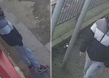 Mother stabbed to death while walking with her baby in a stroller, suspect still on the loose: police