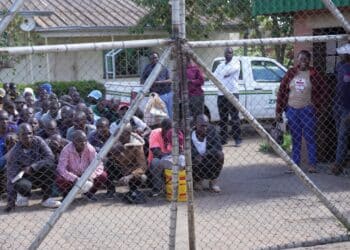 Zimbabwe grants clemency to over 4,000 prisoners