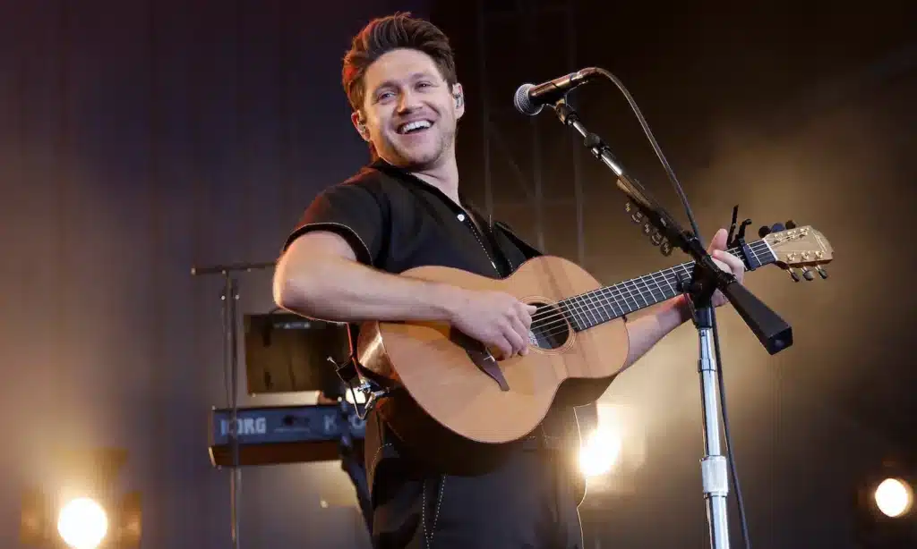 6 Songs Which Showcase Niall Horan's Great Potential!
