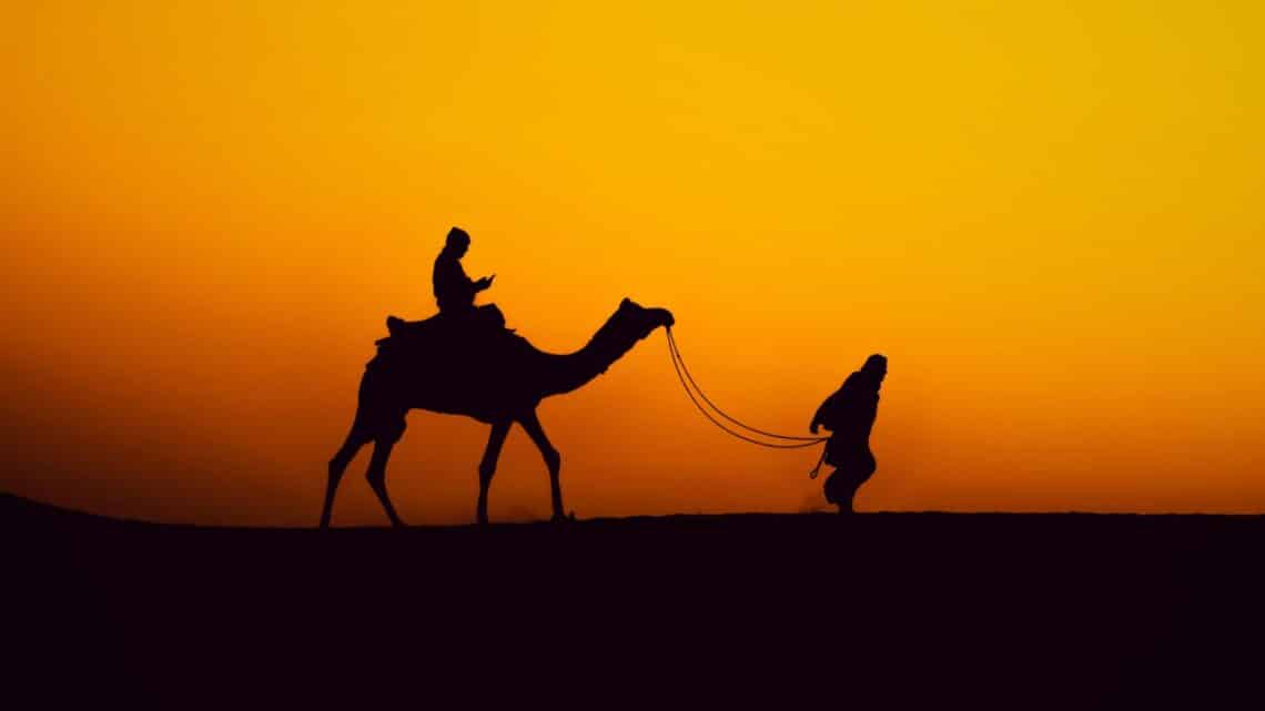 Pushkar Camel Fair 2024: Experiencing An Amazing Annual Spectacle Pushkar Camel Fair 2024: Experiencing An Amazing Annual Spectacle