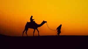 Pushkar Camel Fair 2024: Experiencing An Amazing Annual Spectacle