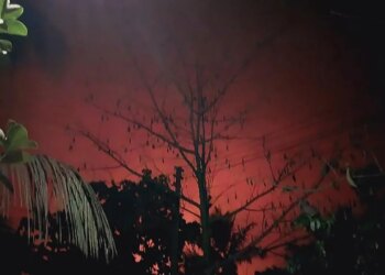 Burmese government denies claims it killed 76 villagers