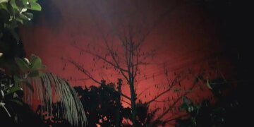 Burmese government denies claims it killed 76 villagers