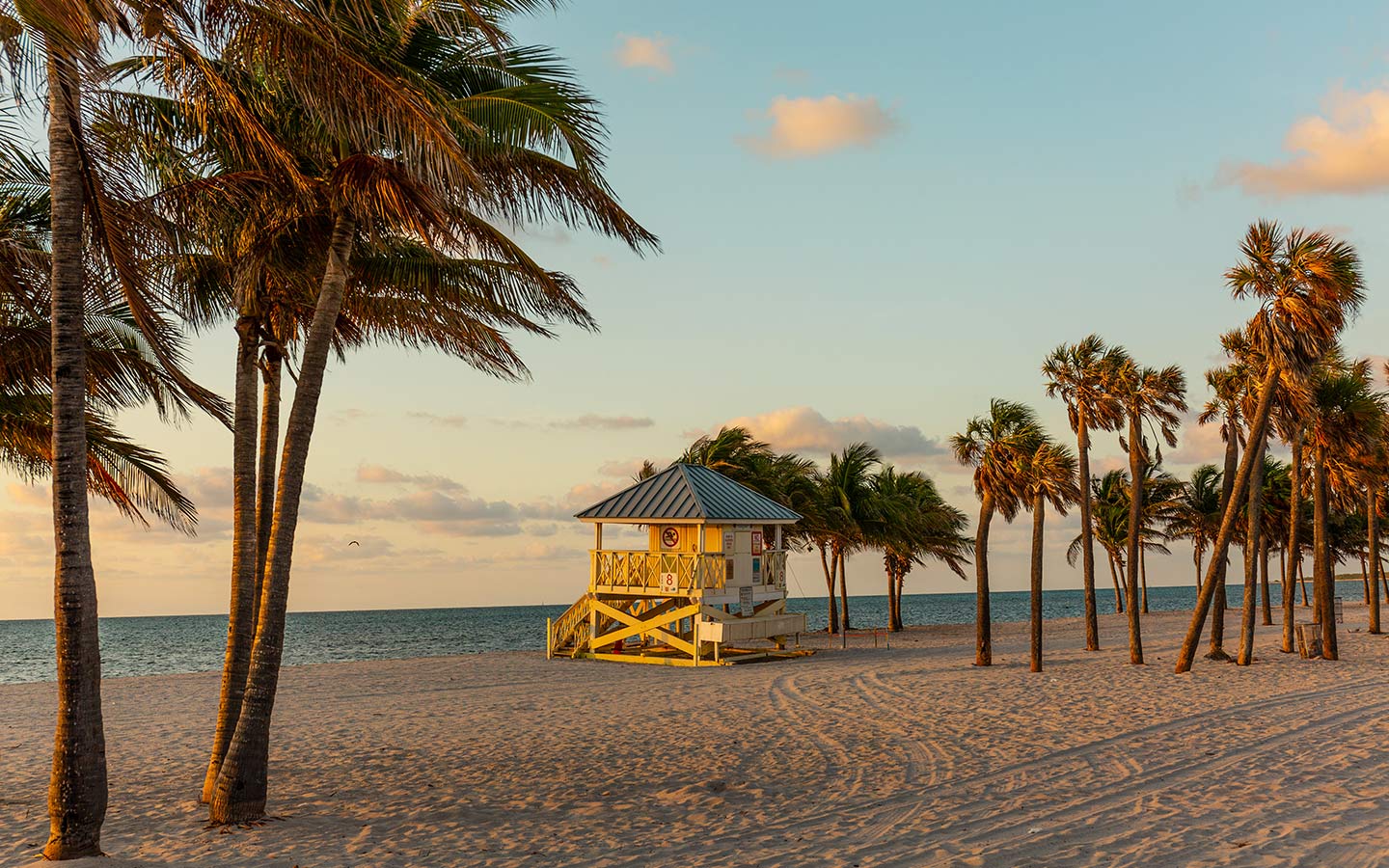 7 Most Exotic Beaches In Miami: A Tropical Paradise Awaits