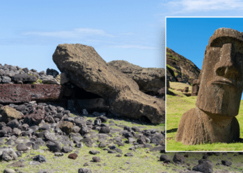 Easter Island ‘Ecocide’ Myth Debunked In New Scientific Study