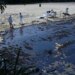 Singapore says ship caused oil spill reported sudden loss of control
