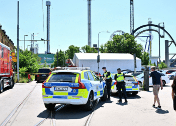 Swedish amusement park’s negligence linked to fatal roller coaster derailment