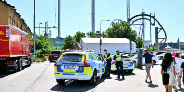 Swedish amusement park’s negligence linked to fatal roller coaster derailment
