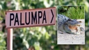 12-year-old dead after crocodile attack in Australia