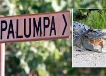 12-year-old dead after crocodile attack in Australia