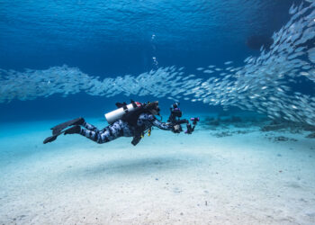 5 Best Places For Scuba Diving Around The World