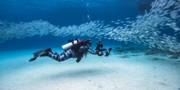 5 Best Places For Scuba Diving Around The World