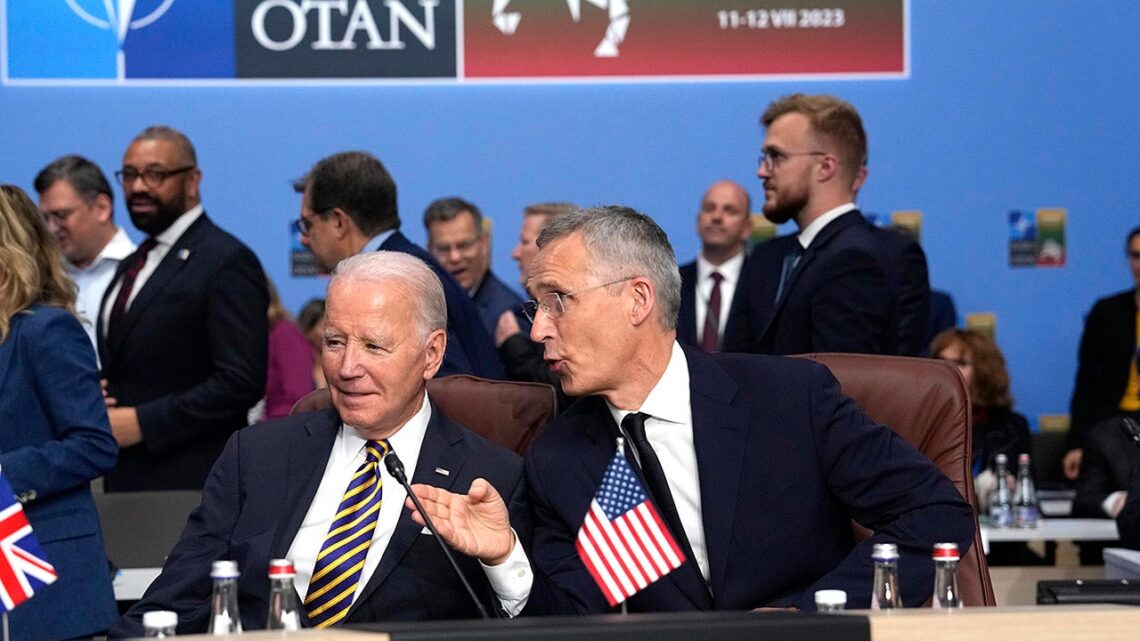 NATO appears divided on pushing Biden to lift strike bans for Ukrainian offense NATO appears divided on pushing Biden to lift strike bans for Ukrainian offense