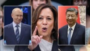 National security experts warns against ‘chaos’ of US elections as Harris enters the race