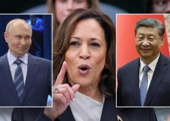 National security experts warns against ‘chaos’ of US elections as Harris enters the race