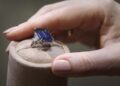 7 Most Expensive Rings In The World