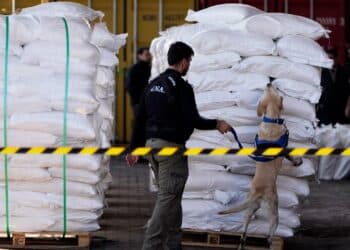 Paraguay finds 4 tons of cocaine hidden in sugar in ‘Operation Sweetness,’ its biggest drug bust