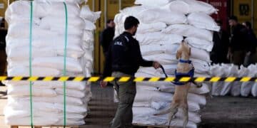 Paraguay finds 4 tons of cocaine hidden in sugar in ‘Operation Sweetness,’ its biggest drug bust