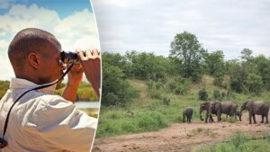 South Africa Travel Guide 2026: Visa, Safari and Top Things to Do
