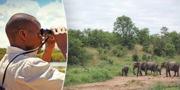 South Africa Travel Guide: Expect A Vacation Filled With Wildlife And Breathtaking Views