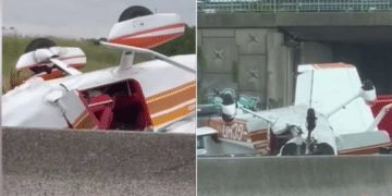 Three dead after tourist plane crashes on French highway: video