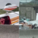 Three dead after tourist plane crashes on French highway: video
