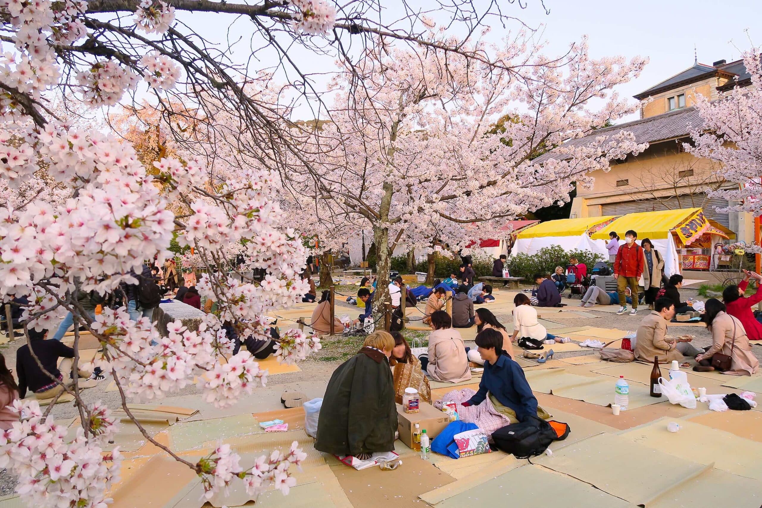 Colour, Culture And Celebration: 8 Most Colourful Festivals Around The World That You Must Experience