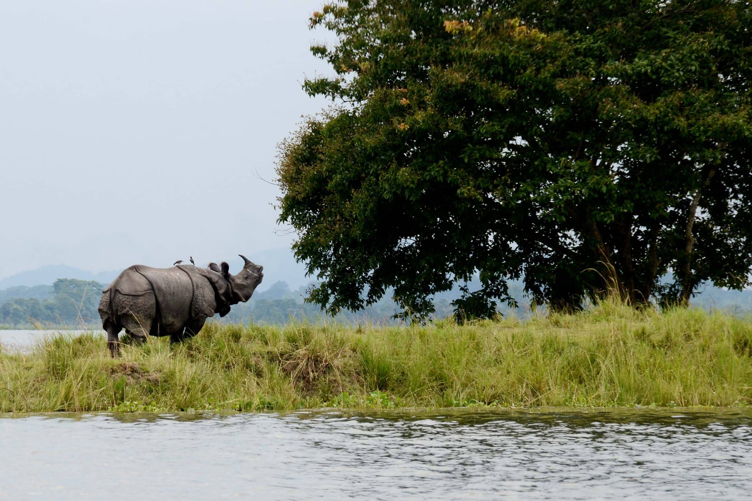 Exploring The Enchanting Seven Sisters: 10 Best Places To Visit In Northeast India