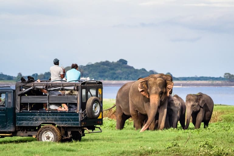 Exploring The Enchanting Seven Sisters: 10 Best Places To Visit In Northeast India