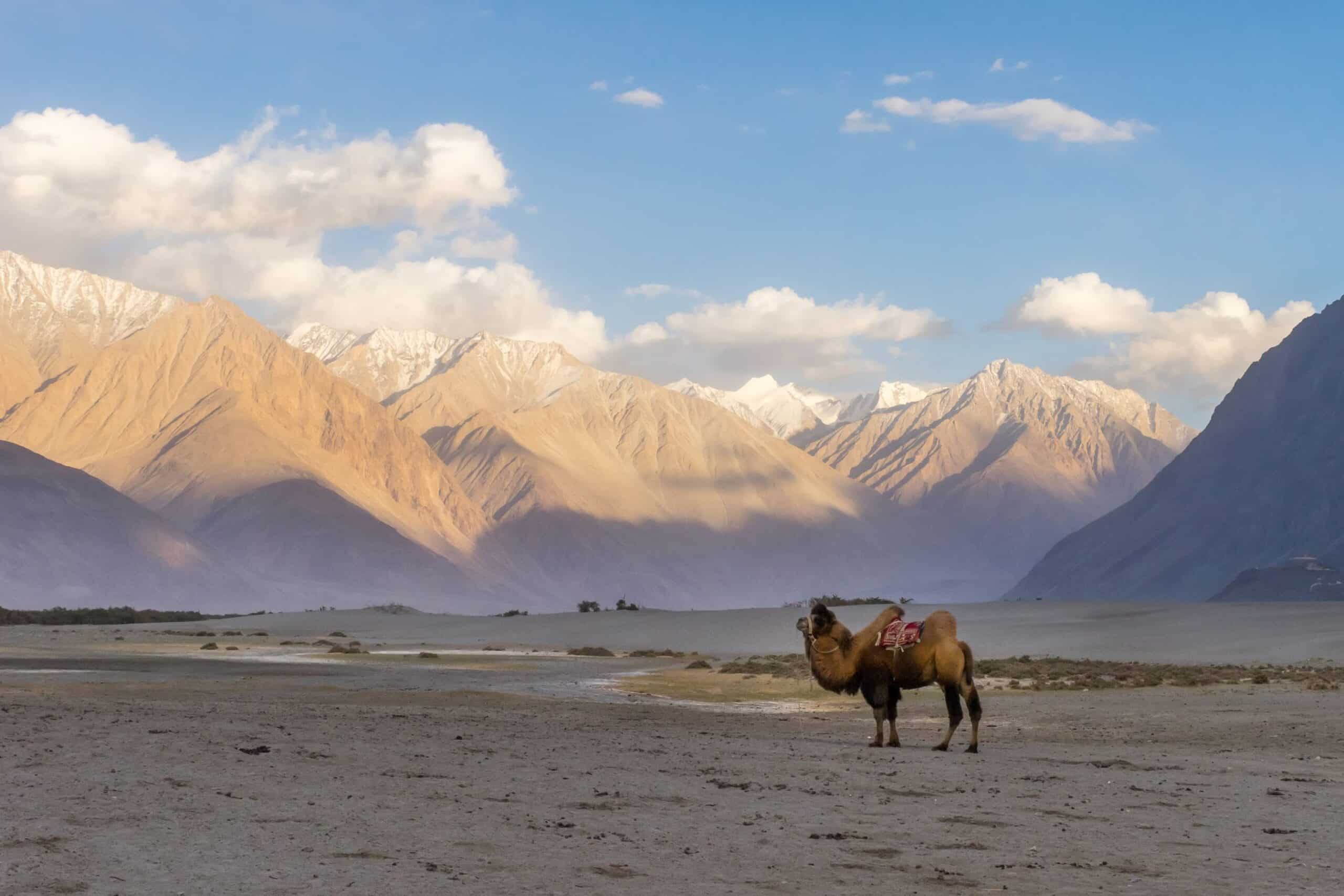 The Enchanting Land Of Ladakh: 10 Best Places To Visit In Ladakh