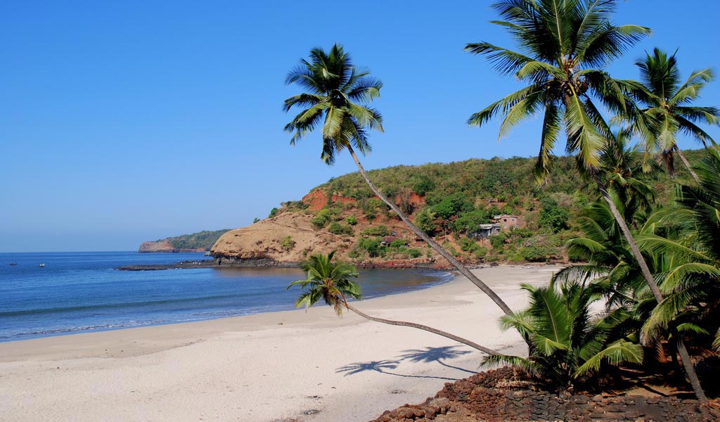 10 Picturesque Beaches: Sun, Sand, And Surf Along India’s Coastline