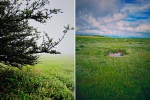 The 11 Best Road Trips From Mumbai | For Memories In Monsoon…
