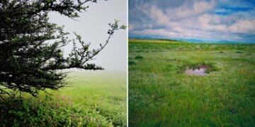 Best Road Trips From Mumbai - Tosheghar