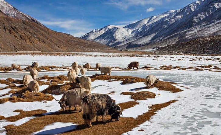 The Enchanting Land Of Ladakh: 10 Best Places To Visit In Ladakh