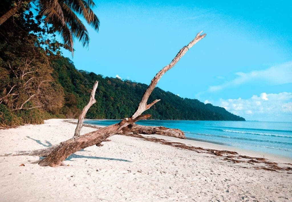 Island Escapes: 6 Breathtaking Islands For A Tropical Retreat In India Island Escapes: 6 Breathtaking Islands For A Tropical Retreat In India