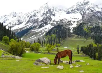 Heaven On Earth: 6 Best Places In The Paradise Of Kashmir