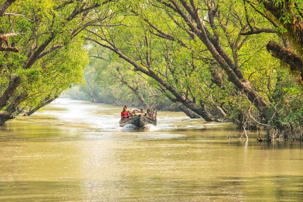 Wildlife Encounters: Discover Breathtaking Fauna In These 10 National Parks Of India