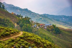 Beautiful Alternatives You Could Explore Other Than Darjeeling