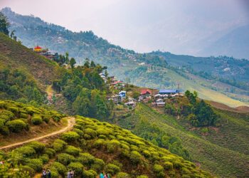 Beautiful Alternatives You Could Explore Other Than Darjeeling