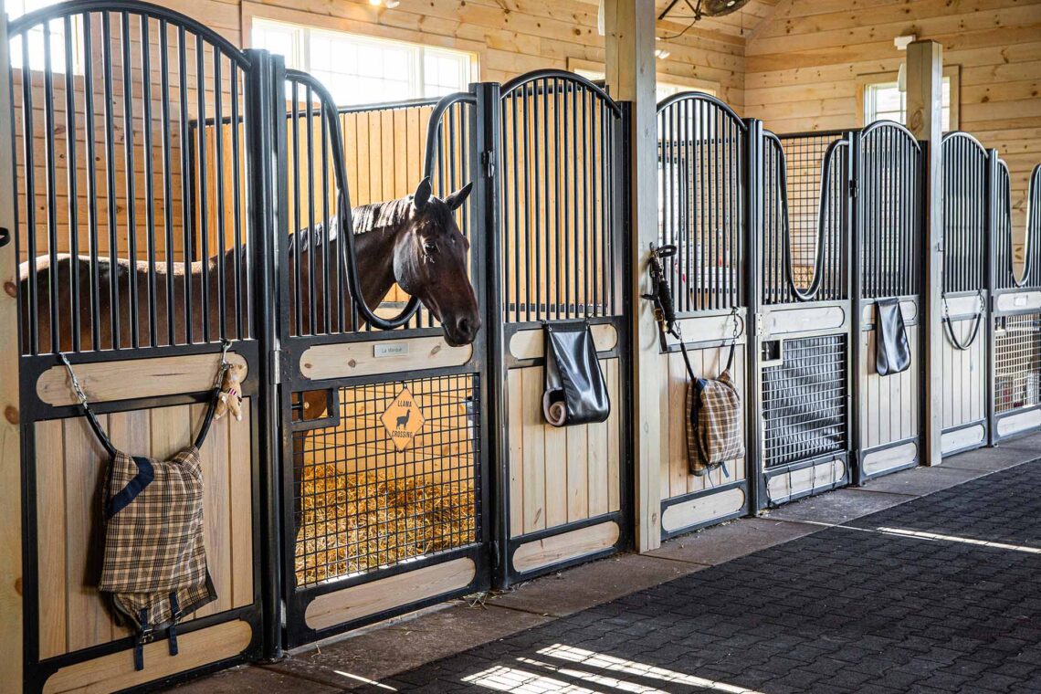 10 Most Luxurious Horse Stables Around The Globe