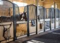 10 Most Luxurious Horse Stables Around The Globe