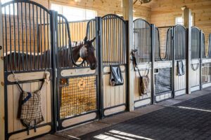 10 Most Luxurious Horse Stables Around the World to Visit