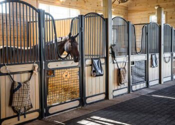 10 Most Luxurious Horse Stables Around The Globe